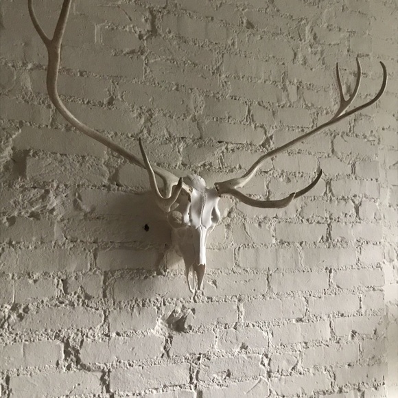 Fallow and Axis Deer Mount - Picture 3 of 12